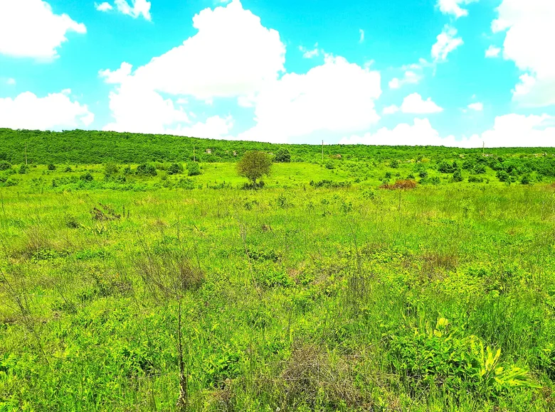 Grundstück 160 000 m² Prilep, Bulgarien