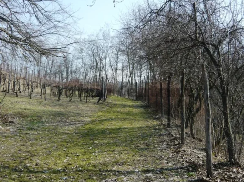 Land 3 362 m² Pincehely, Hungary