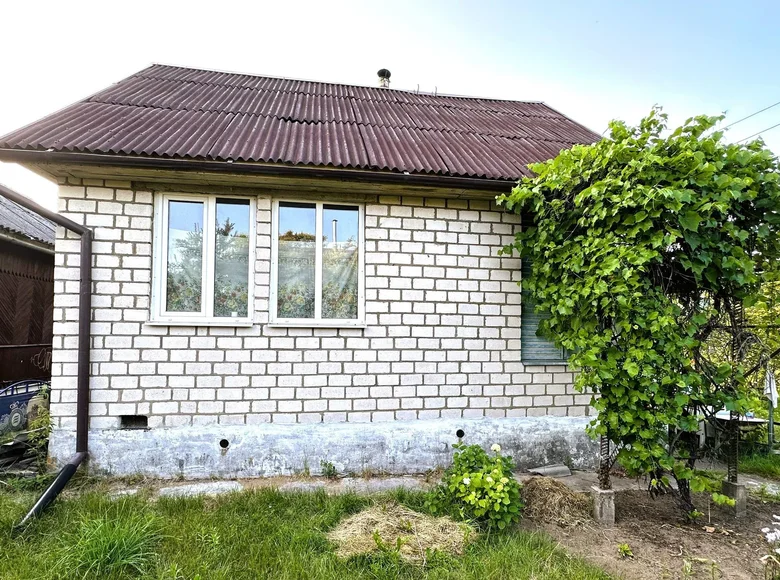 House 40 m² Holacki sielski Saviet, Belarus