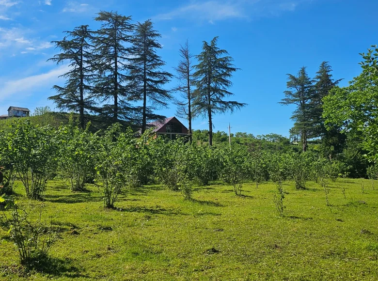 Land  Chakvi, Georgia