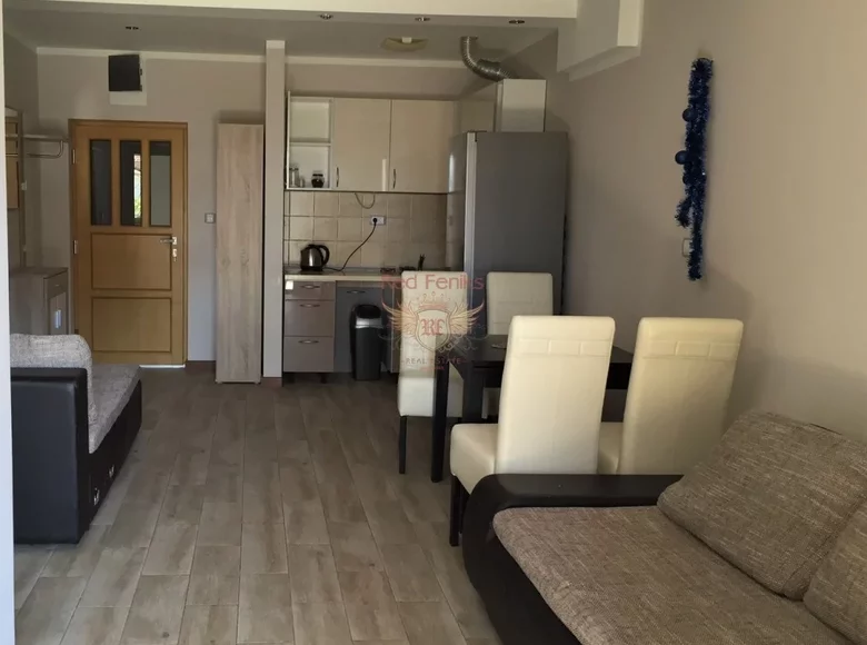 1 bedroom apartment 42 m² Topla, Montenegro