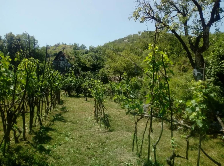 Земельные участки  Цетинье, Черногория