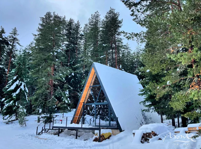 Willa 2 pokoi 70 m² Zabljak, Czarnogóra