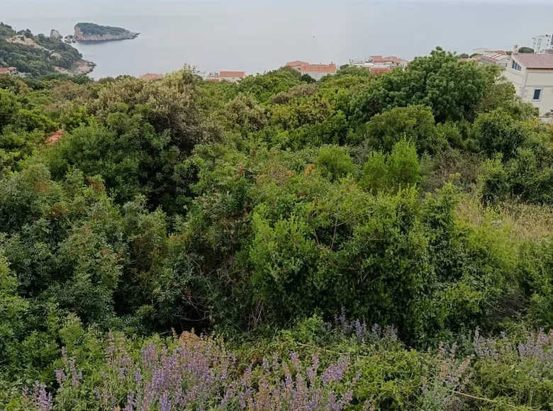 Parcelas  Kunje, Montenegro