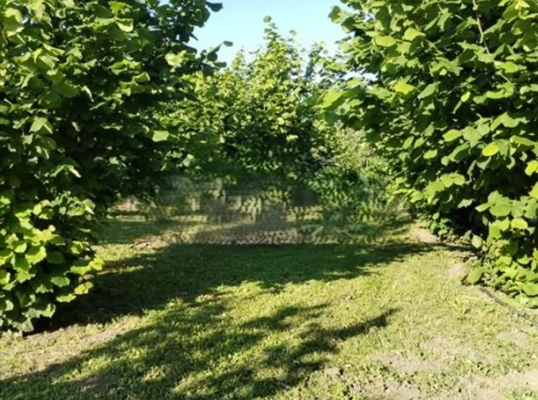 Chalet 2 chambres 50 m² Belgrade, Serbie