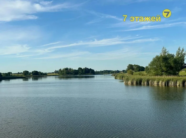 Działki  Dabryniouski sielski Saviet, Białoruś