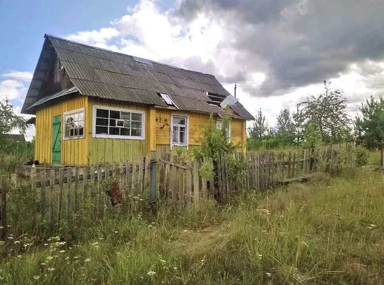 Casa 39 m² Hajnienski sielski Saviet, Bielorrusia