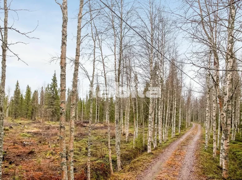 Land  Northern Finland, Finland