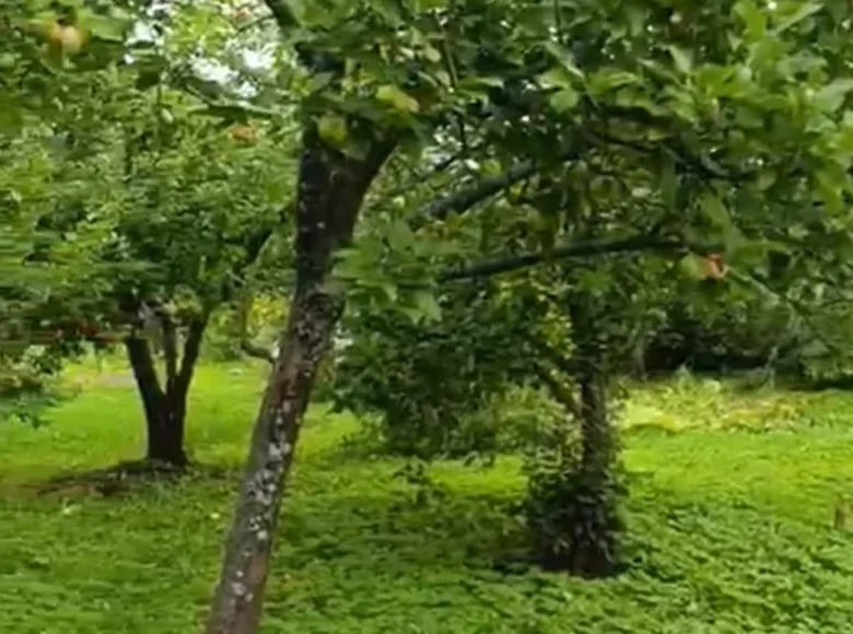 Działki  Anninskoe gorodskoe poselenie, Rosja