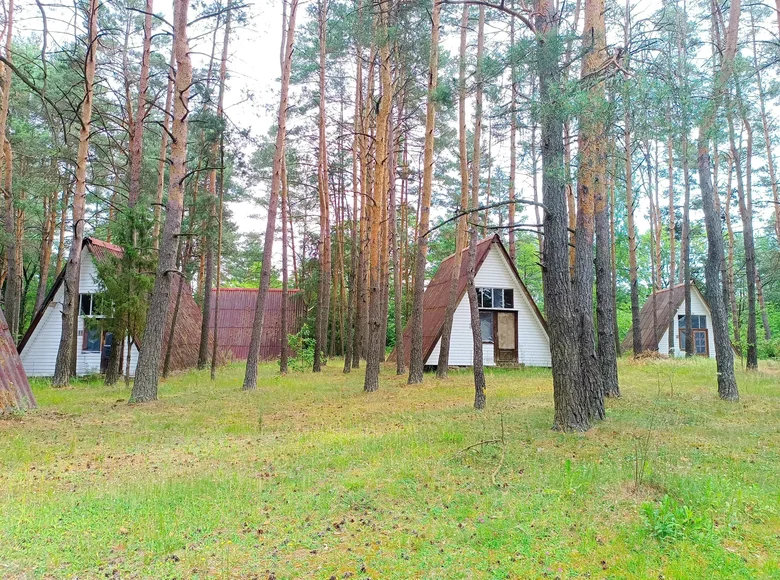 Commercial property 575 m² in Dauhinauski sielski Saviet, Belarus