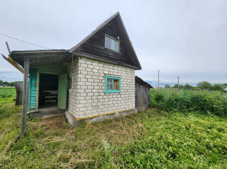 Haus 1 zimmer 20 m² Rabititsi, Russland