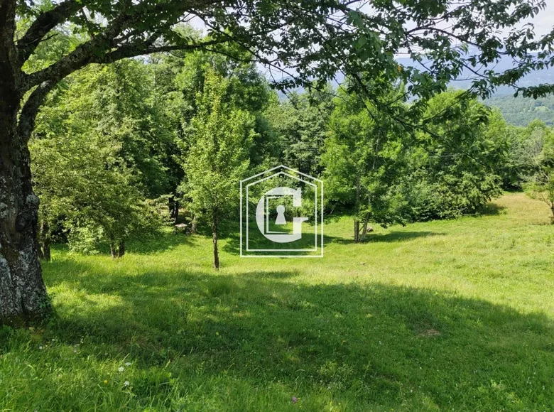 Atterrir 1 313 m² Kolašin, Monténégro