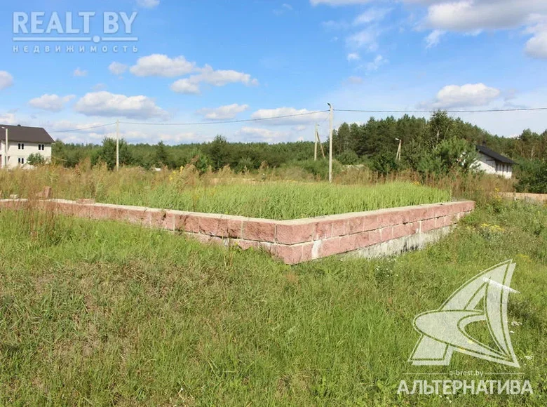 Grundstück 269 m² Vialikija Radvanicy, Weißrussland