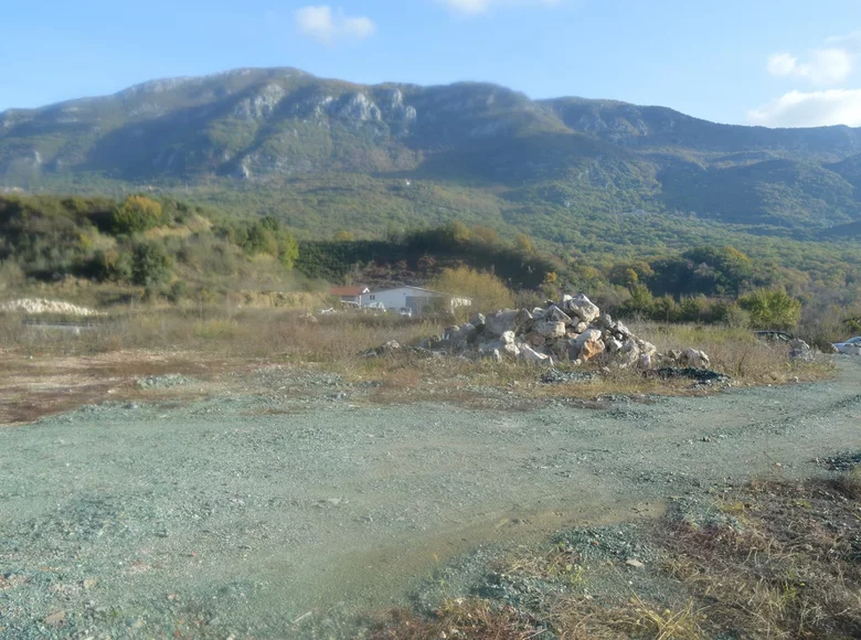 Land 4 000 m² Pelinovo, Montenegro