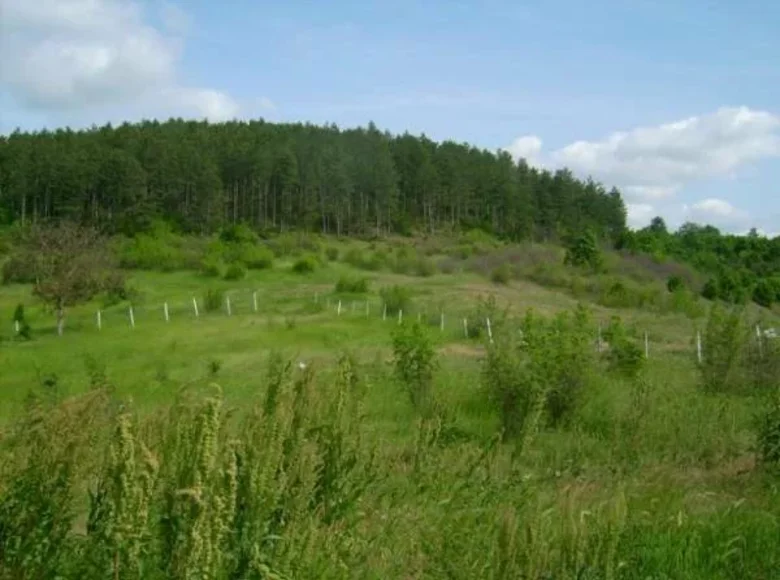 Land  Prohod, Bulgaria