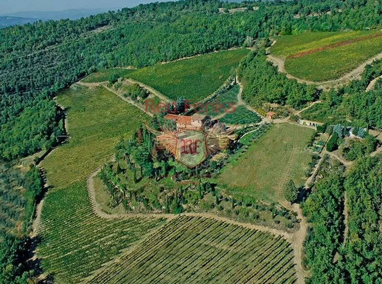 Commercial property 490 m² in Castellina in Chianti, Italy