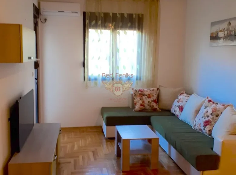 1 bedroom apartment 43 m² Montenegro, Montenegro