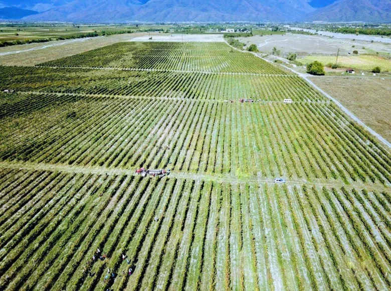 Działki 500 000 m² Gruzja, Gruzja