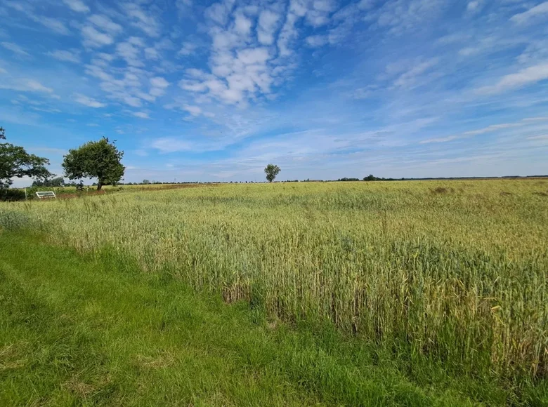 Land 1 482 m² Maniewo, Poland