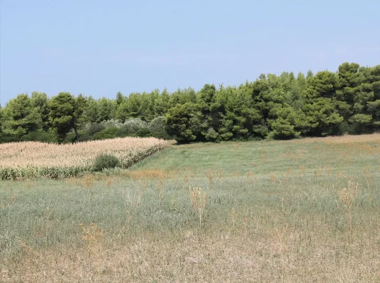 Działki  Macedonia - Thrace, Grecja