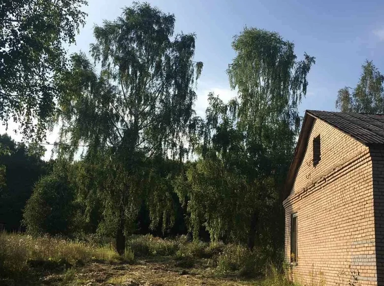 Commercial property 125 m² in Gajnenski selski Savet, Belarus
