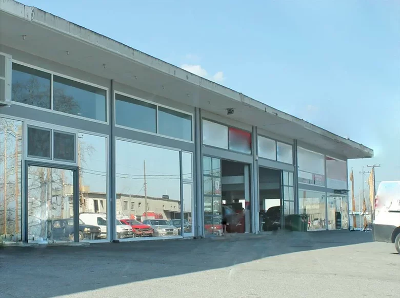 Commercial property 300 m² in Nea Efesos, Greece