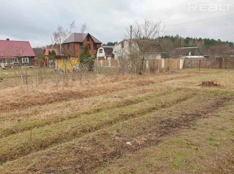 Land  Nieharelski sielski Saviet, Belarus