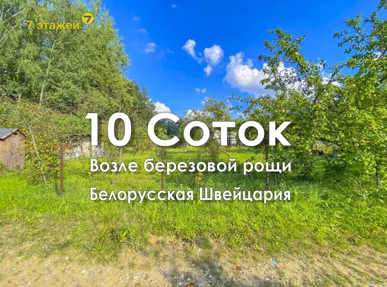 Дом  Логойский сельский Совет, Беларусь