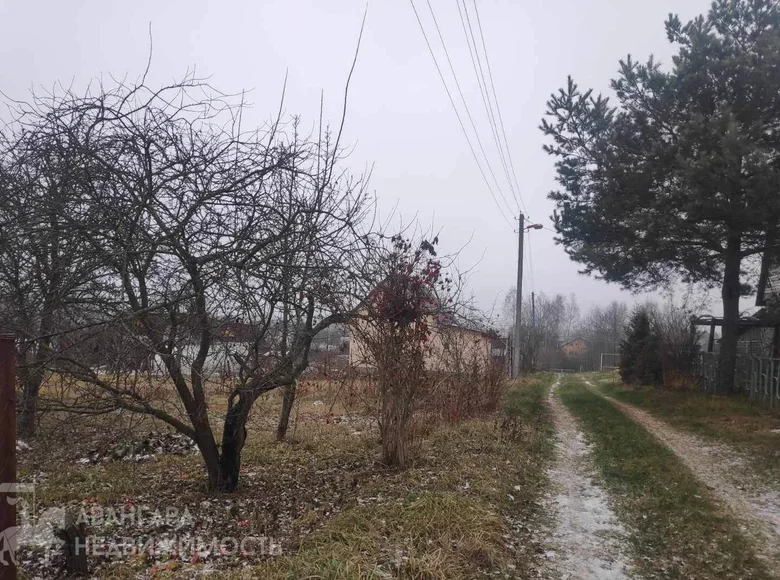 Land  Fanipalski sielski Saviet, Belarus