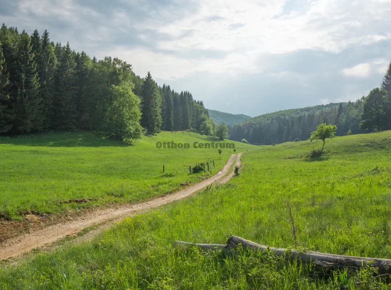 Land 5 270 m² Debreceni jaras, Hungary