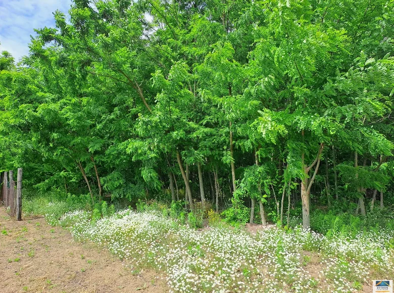 Land 20 000 m² Tapioszolos, Hungary