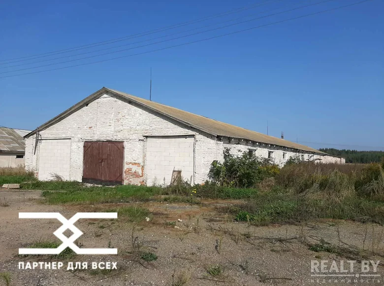 Warehouse 1 049 m² in Zodzinski selski Savet, Belarus