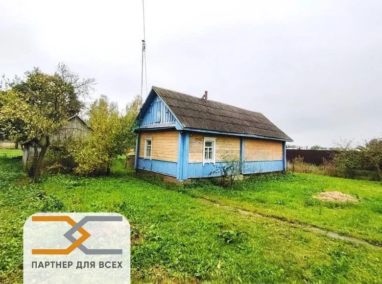 House 54 m² Sluck, Belarus