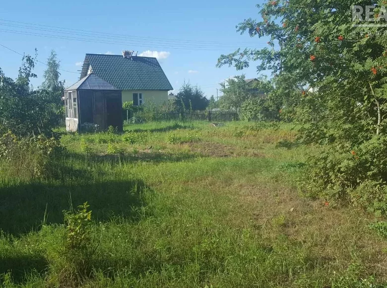 Land  Pukhavichy District, Belarus