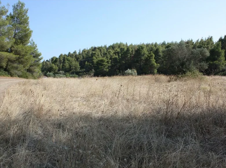 Atterrir 1 chambre  Nikiti, Grèce