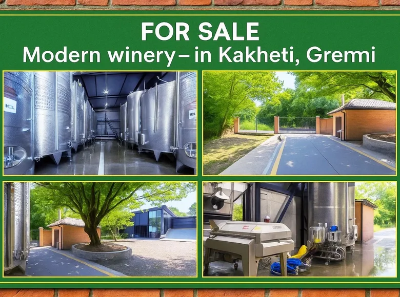 🏭 For Sale – Modern Winery in Gremi, Kakheti