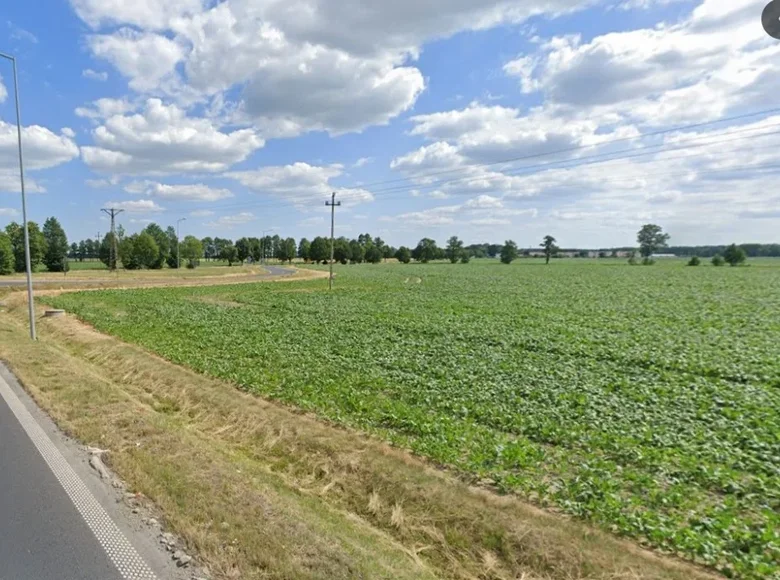 Grundstück 254 085 m² Opalenitza, Polen