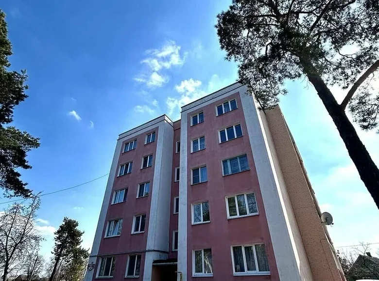 Mieszkanie 3 pokoi 57 m² Kalinkowicze, Białoruś