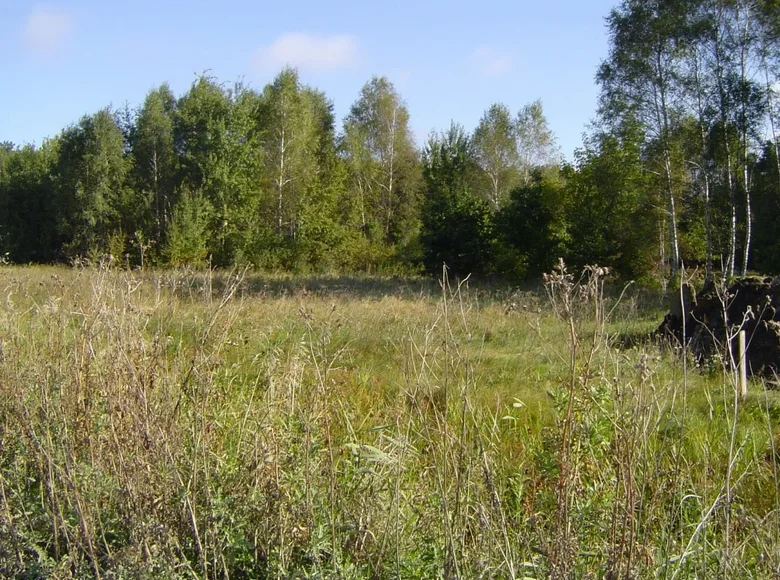 Land 1 room 7 050 m² Otwock, Poland