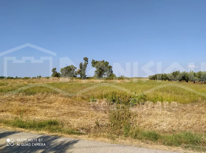 Land 5 500 m² Elassona Municipality, Greece