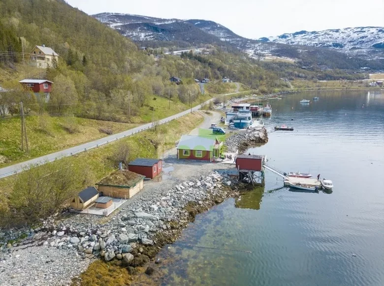 Propiedad comercial 359 m² en Noruega, Noruega