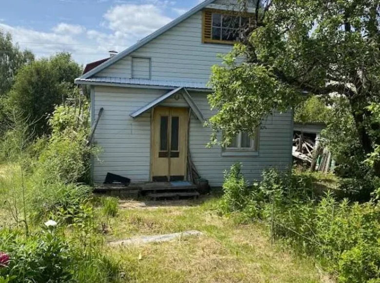 Haus 44 m² Lasanski sielski Saviet, Belarus
