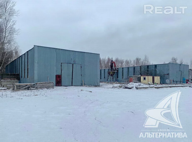 Manufacture 575 m² in Kobryn, Belarus