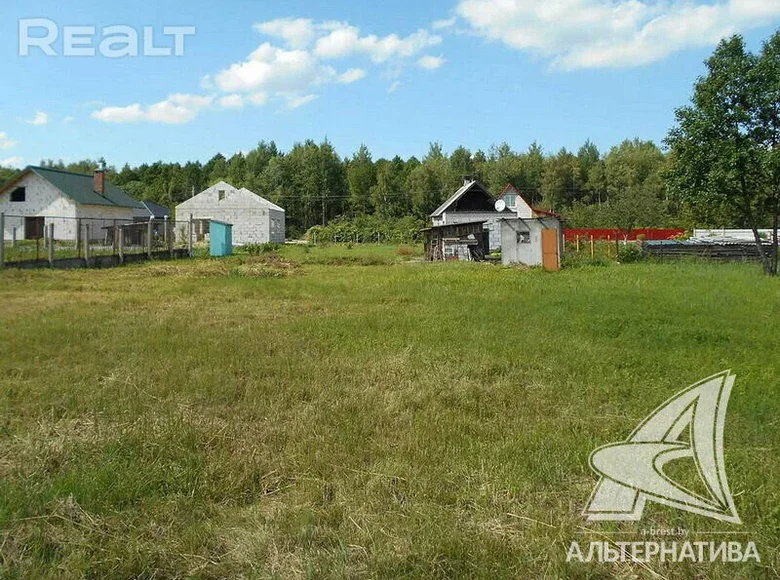 Land  Kamianica Zyravieckaja, Belarus