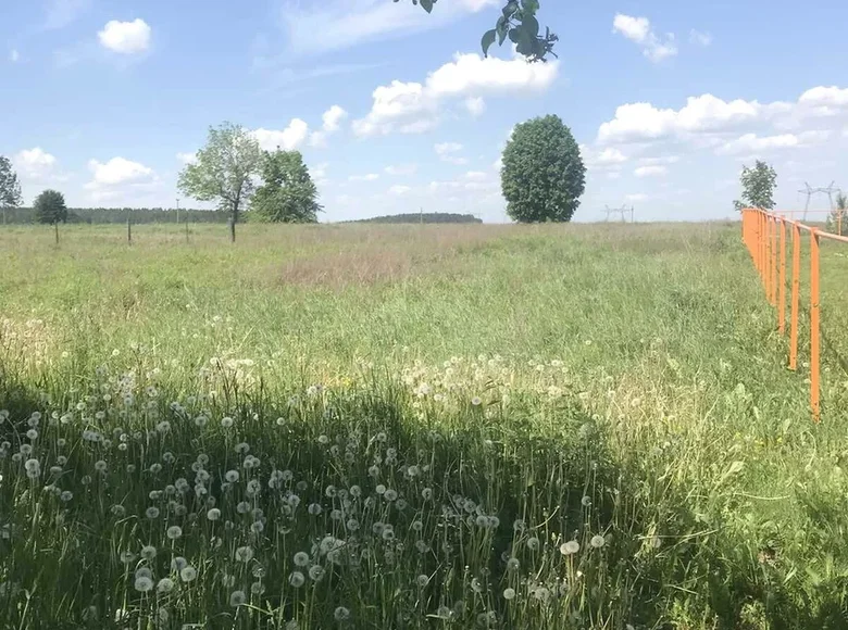 Dom  Piekalinski siel ski Saviet, Białoruś