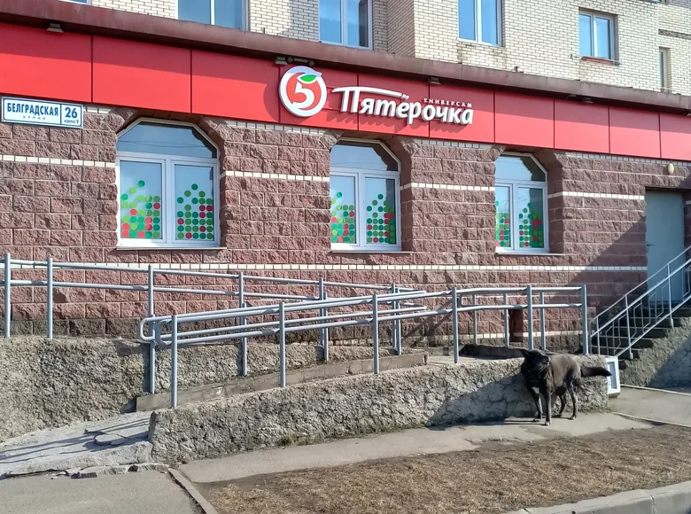 Propiedad comercial 1 090 m² en okrug Kupchino, Rusia