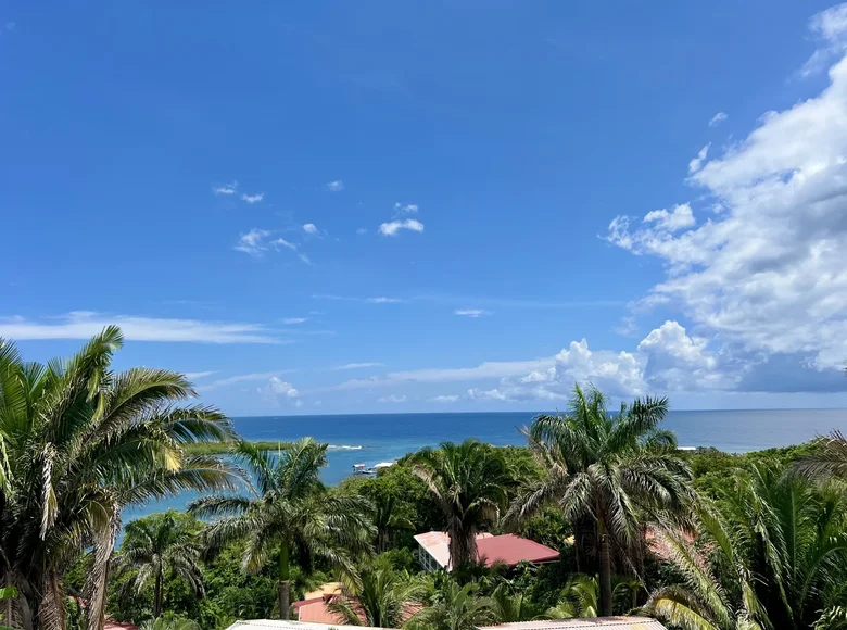 Dom 4 pokoi 232 m² Jose Santos Guardiola, Honduras