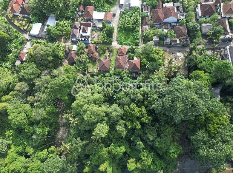 Land  Tabanan, Indonesia