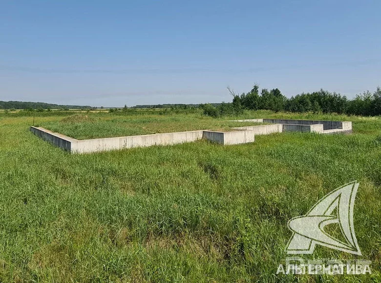 Grundstück  Vielikarycki sielski Saviet, Weißrussland