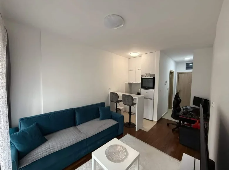 Studio 252 m² Montenegro, Montenegro